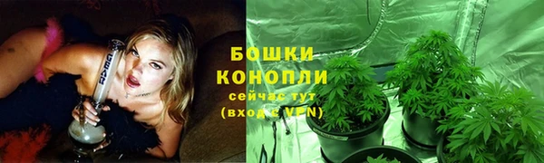 ПСИЛОЦИБИНОВЫЕ ГРИБЫ Красноперекопск