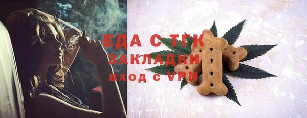 индика Коряжма