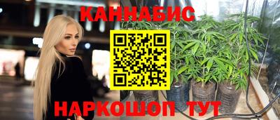 мяу мяу мука Краснознаменск
