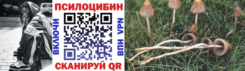 Галлюциногенные грибы мухоморы  где купить наркоту  Красноуфимск 