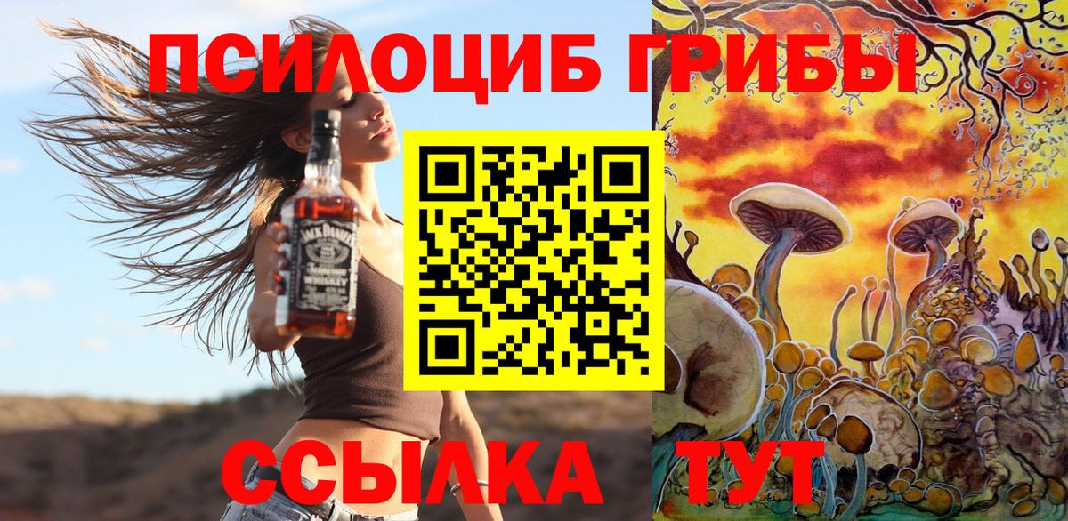 где купить   Псилоцибиновые грибы Magic Shrooms  Вход с VPN  Красноуфимск 
