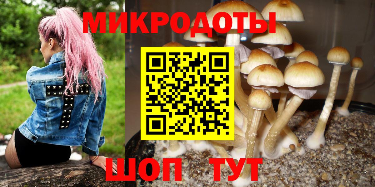 Галлюциногенные грибы Красноуфимск